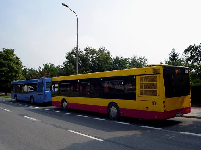 Autobusy MAZ 203 na ulicach Kielc. źródło: www.komunikacja-kielce.pl;fot. ar