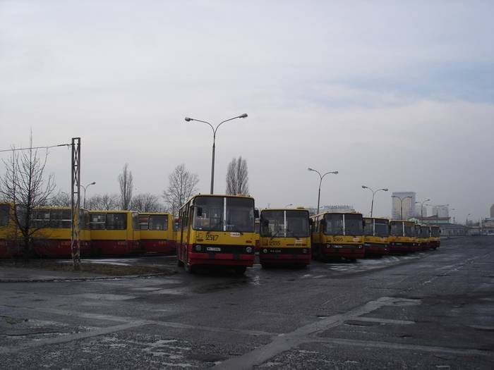 Już niebawem te miejsca zajmą nowoczesne niskopodłogowce