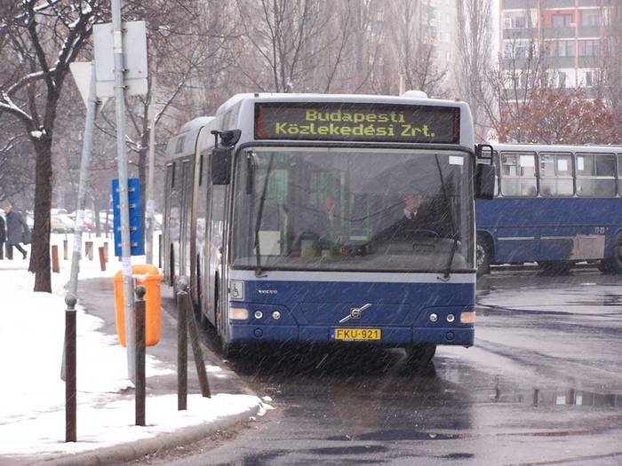 Autobusy Volvo z rodziny 7700 w barwach różnych węgierskich przewoźników