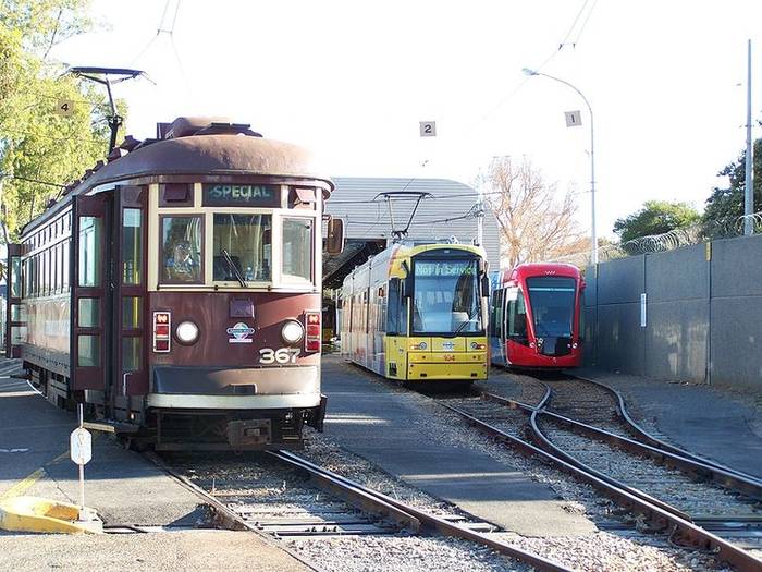 Aktualny tabor tramwajowy w Adelajdzie. Fot. en.wikipedia.org, Public Domain