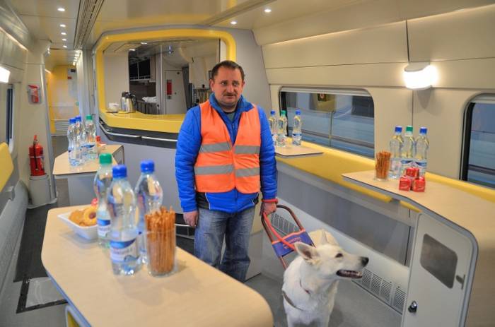 Niepełnosprawni trestowali Pendolino (foto: Dejan Gospodarek)