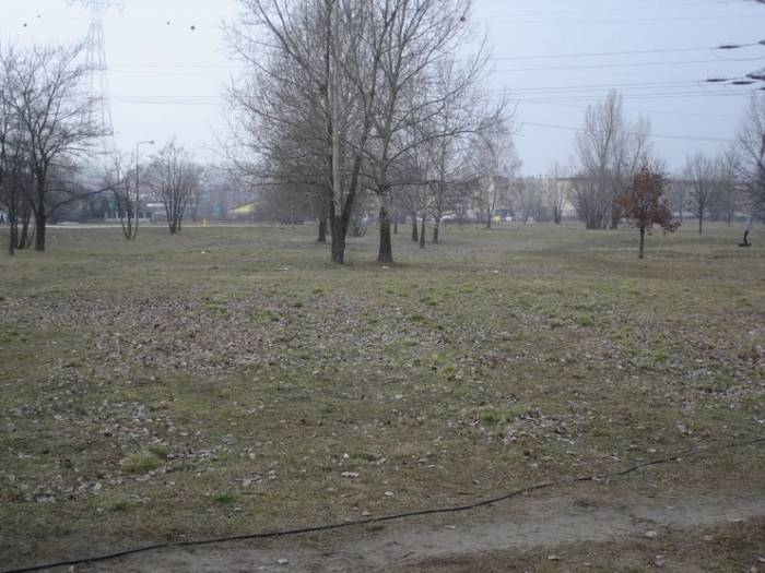 Tu na razie jest ściernisko, ale będzie pętla tramwajowa 