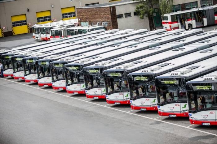 Solarisy w barwach Dopravnípodnik města Brna