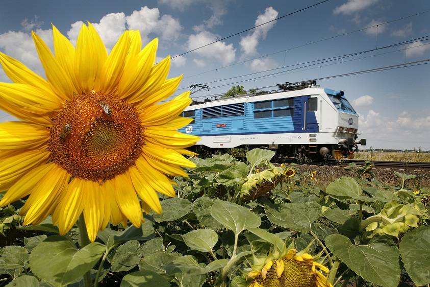 Pociąg Ceskich drah