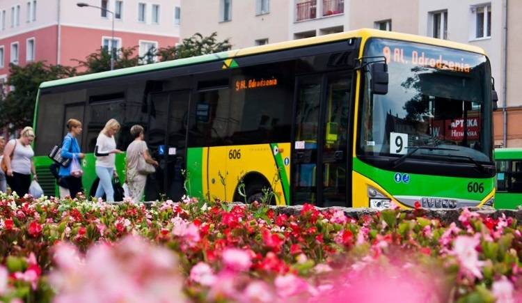 Infobus - ZKM Elbląg z kontraktem liniowym na 10 lat. Kto wystartuje w przetargu? Analiza SWZ