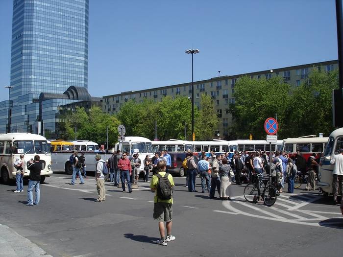 Plac Bankowy - prezentacja ogórków fot. K. Wach