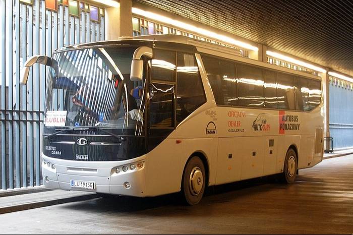 Cobra w EXPRESSBUS