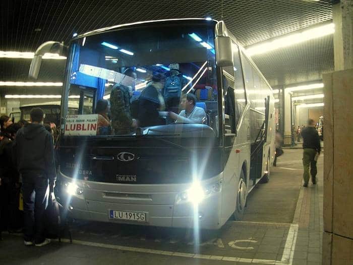 Cobra w EXPRESSBUS
