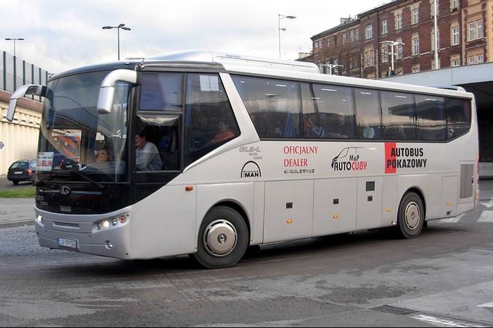 Cobra w EXPRESSBUS