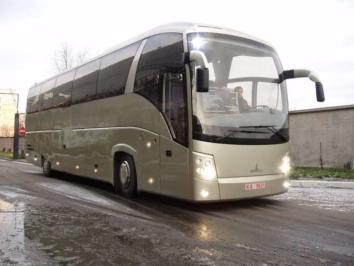 MAZ 251 (foto: MAZ)