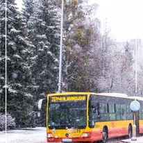 Miejskie Zakłady Autobusowe Spółka z o.o. w Warszawie