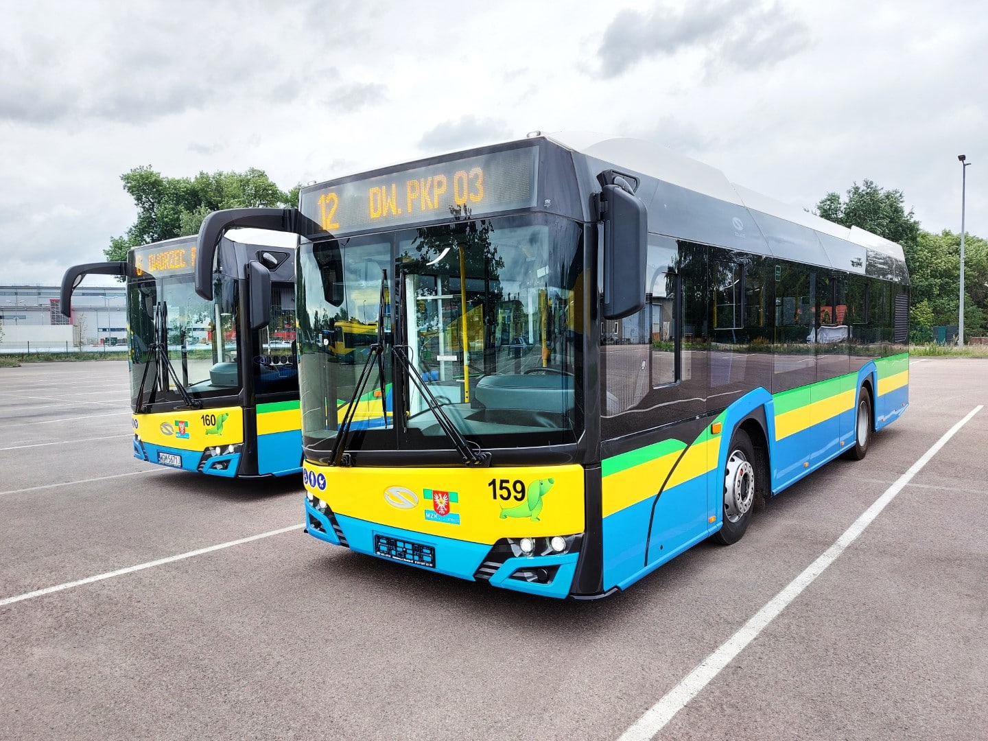 Infobus - Dwa elektrobusy MAXI dla Ostrołęki: Miasto stawia na zasięg i pojemne baterie. Analiza SWZ