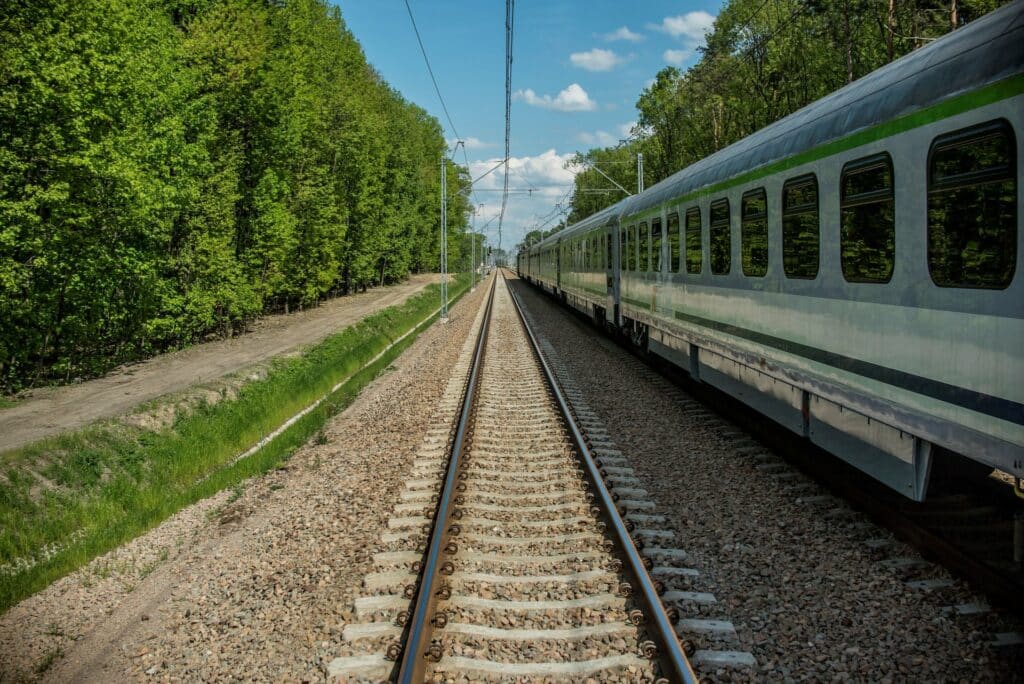Bezpieczne przejścia dla zwierząt