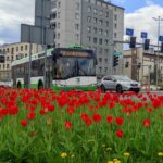 Białystok modernizuje ITS – priorytety dla autobusów i nowe rozwiązania dla pieszych