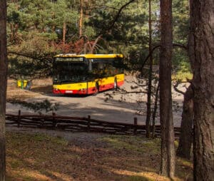 Autobusem linii 800 na wycieczkę do Kampinosu