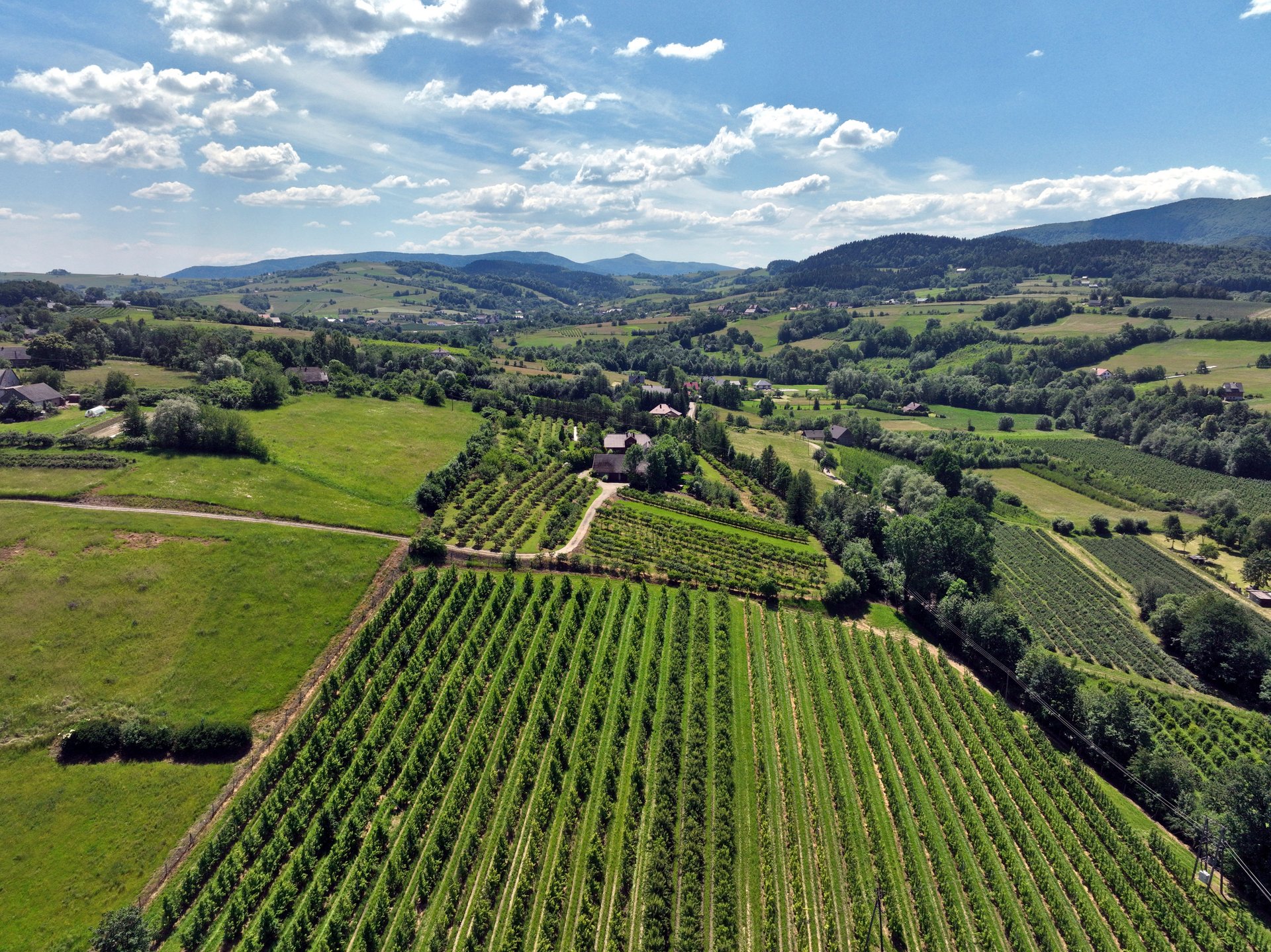 Inforail - Przetarg na nowy odcinek linii kolejowej nr 104 w toku