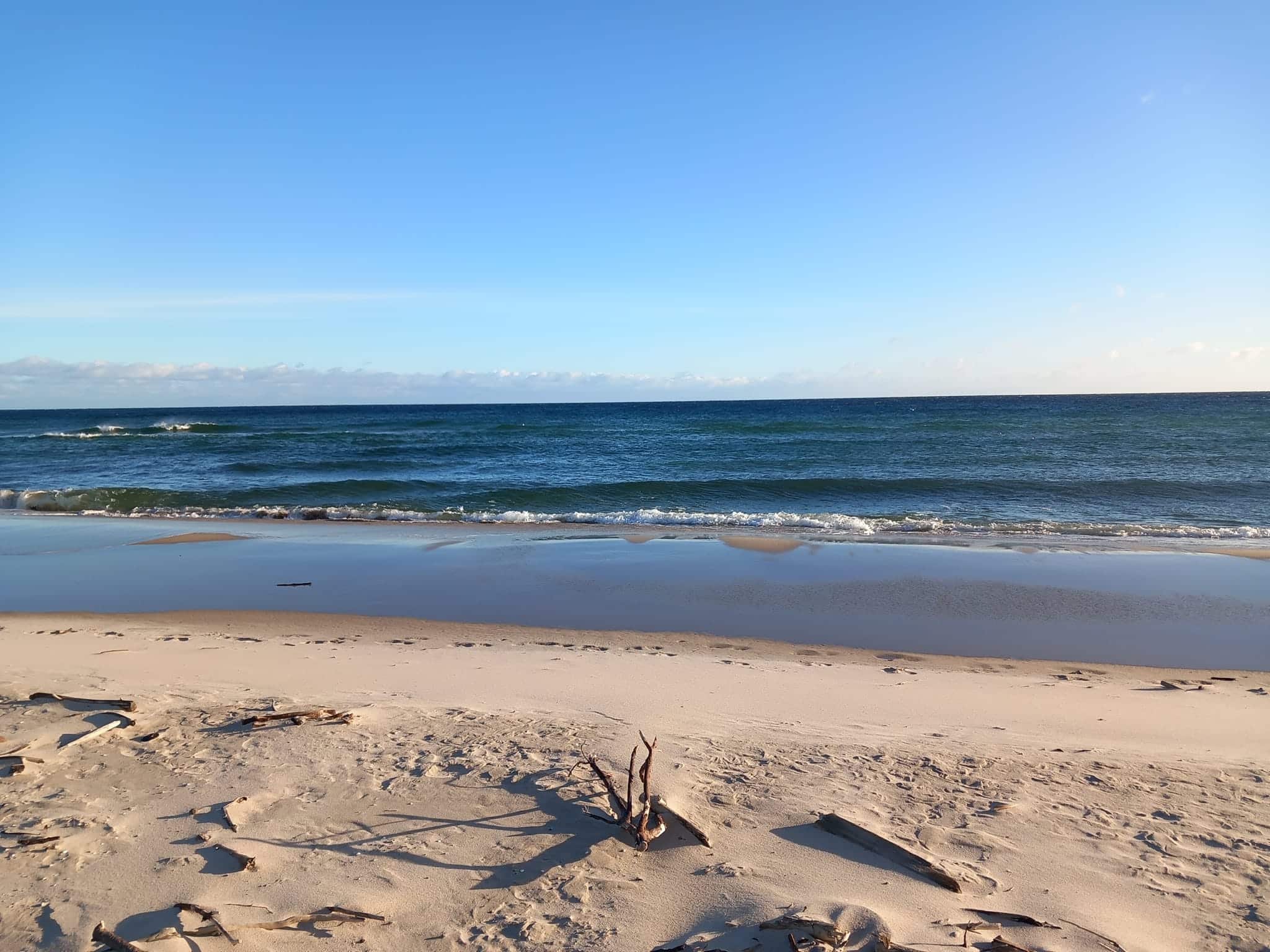 Infoship - Bałtyk kluczowym obszarem rozwoju gospodarczego i bezpieczeństwa