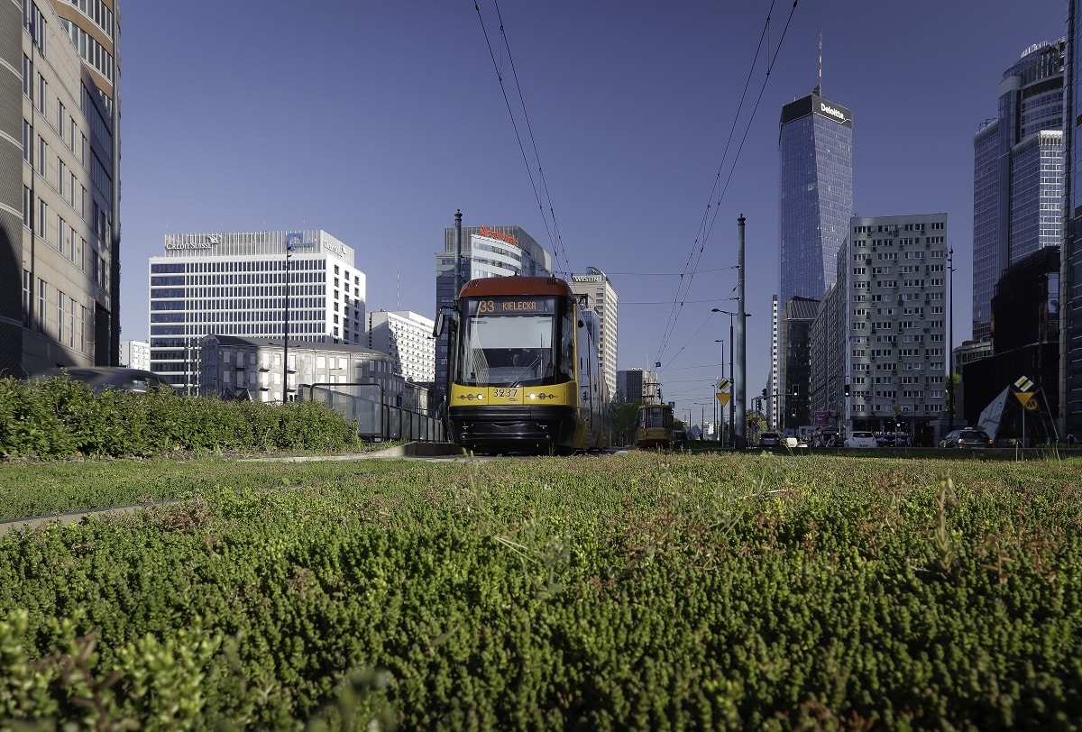 Infotram - Tramwaje Warszawskie ogłaszają przetarg na profilowanie naprawcze szyn tramwajowych