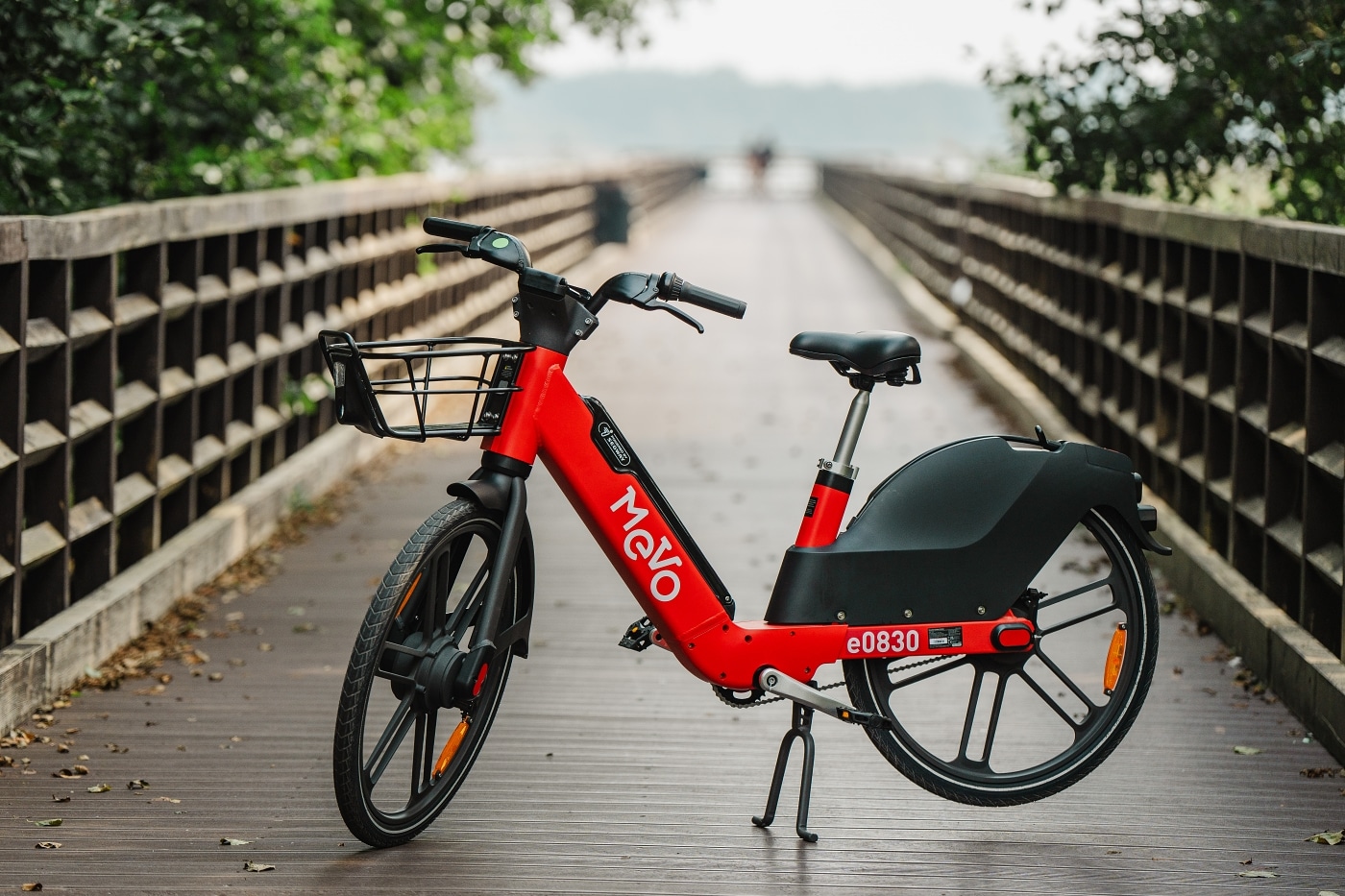 Infobike - E-bike’i dla wszystkich? Rząd rozważa dofinansowanie