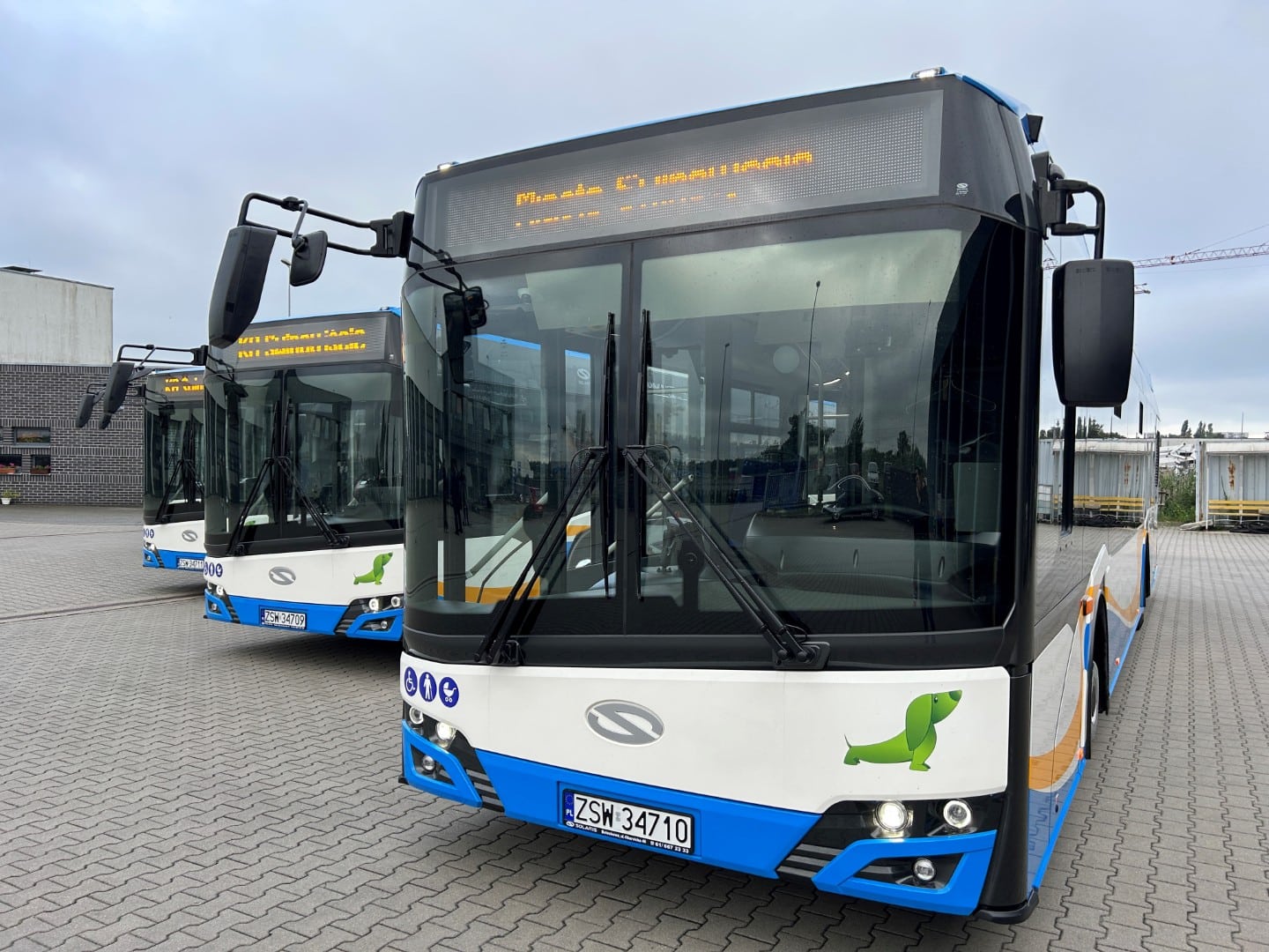 Infobus - Świnoujście: Bezpłatny autobus nocny N zamiast promu. Plus szkolna dziewiątka