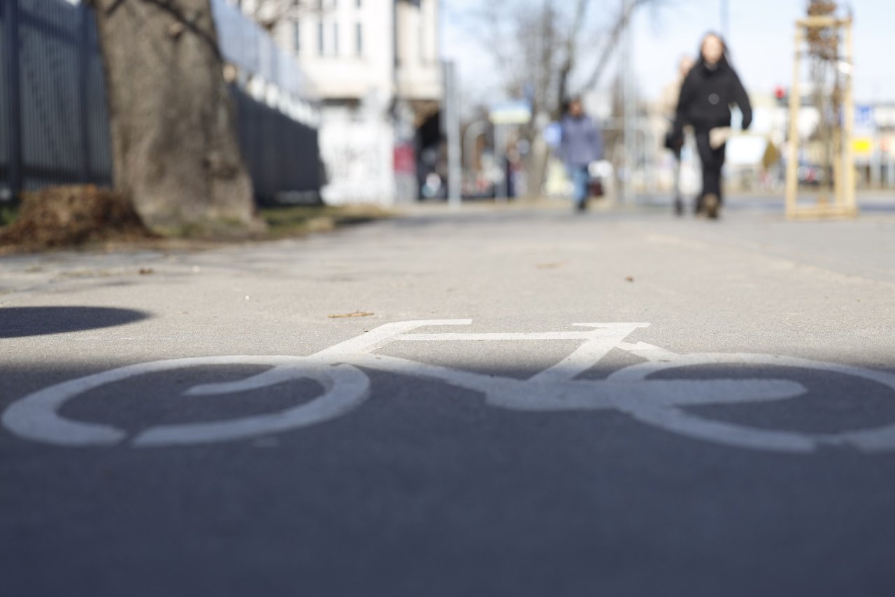 Infobike - Rower chroni przed demencją i Alzheimerem – wyniki ogromnego badania