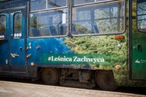 Zielony Wrocław na wyciągnięcie ręki - komunikacją miejską do natury