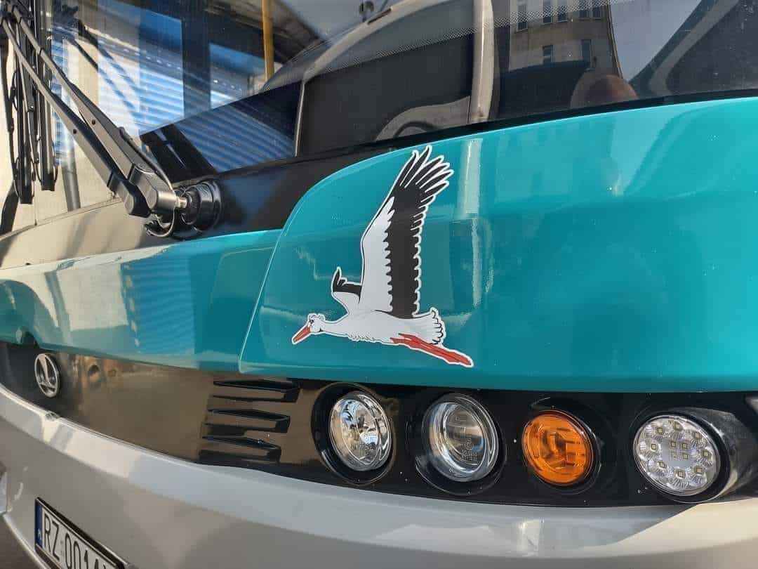 Infobus - Elektrobusy dla ZGPKS Rzeszów: Dla kogo kontrakt po odstąpieniu King Longa? Analiza SWZ