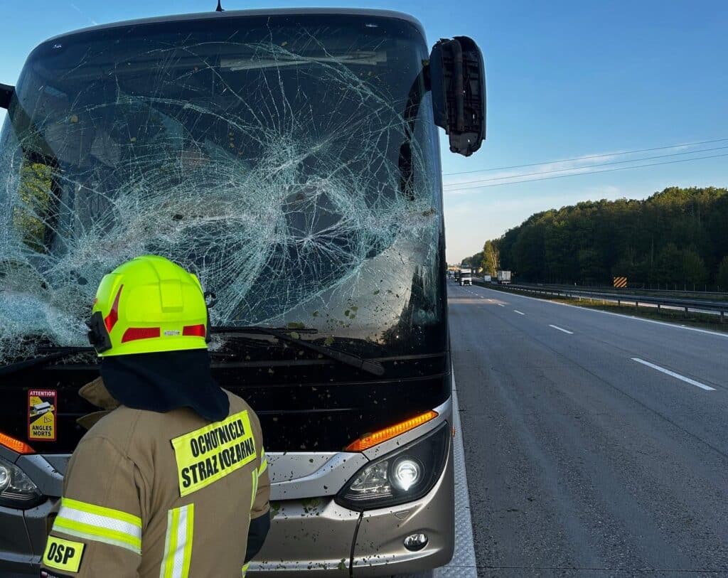A4: Seria wypadków autobusów trwa. Pod Złotoryją na autokar spadło … drzewo