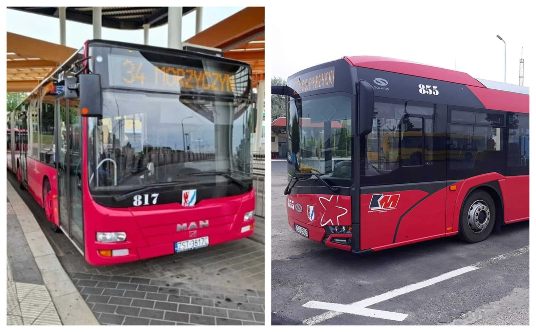 Infobus - MAN i Solaris dostarczą autobusy elektryczne dla MZK Stargard. Salomonowa decyzja