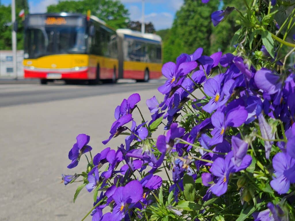 Wybory prezydenckie - darmowy transport w dniu wyborów w Warszawie i Gdańsku