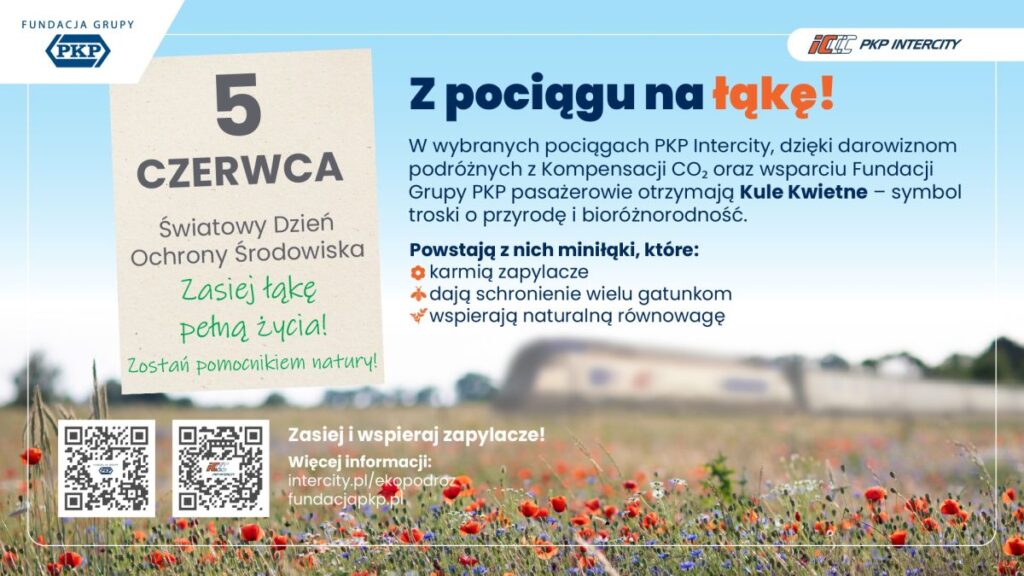 Łąka na warszawskim Grochowie i kule kwietne w pociągach. PKP Intercity razem z pasażerami wspiera bioróżnorodność
