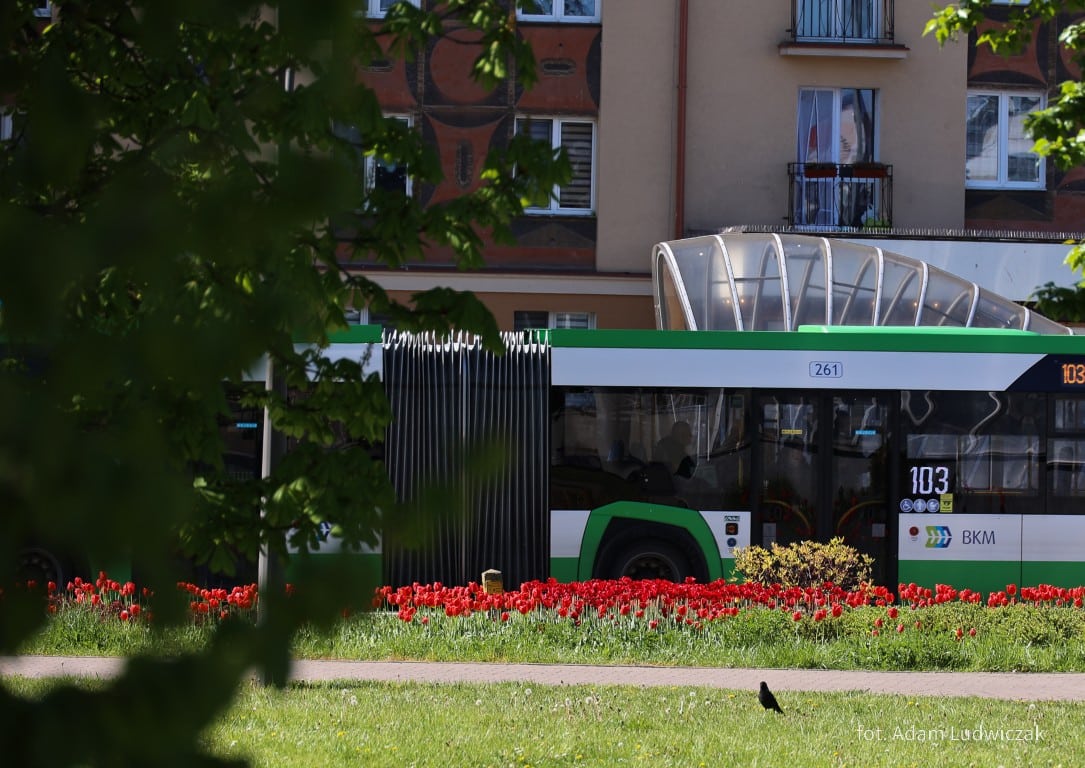 Infobus - Białystok: Proces ws. śmiertelnego wypadku pasażera. Kierowca autobusu nie przyznał się do winy