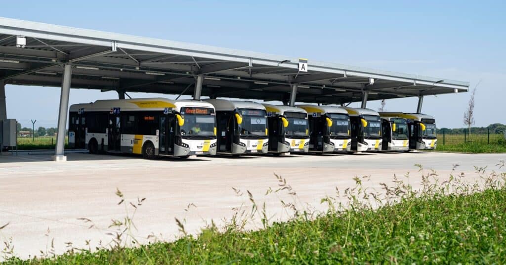 Nowa fala zamówień od De Lijn: BYD, Iveco i VDL z kolejnymi kontraktami