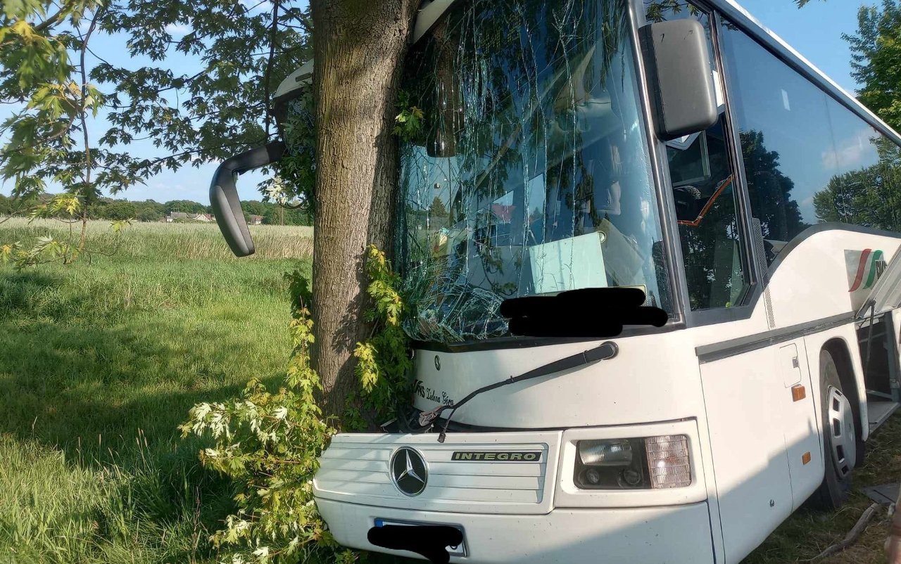 Infobus - Lubuskie: Pijana kierująca autobusem uderzyła w drzewo. Miała 2,3 promila