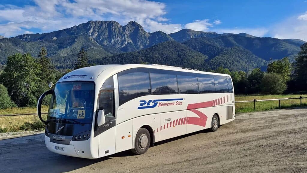 Jakich autobusów międzymiastowych oczekuje PKS Kamienna Góra? Analiza SWZ