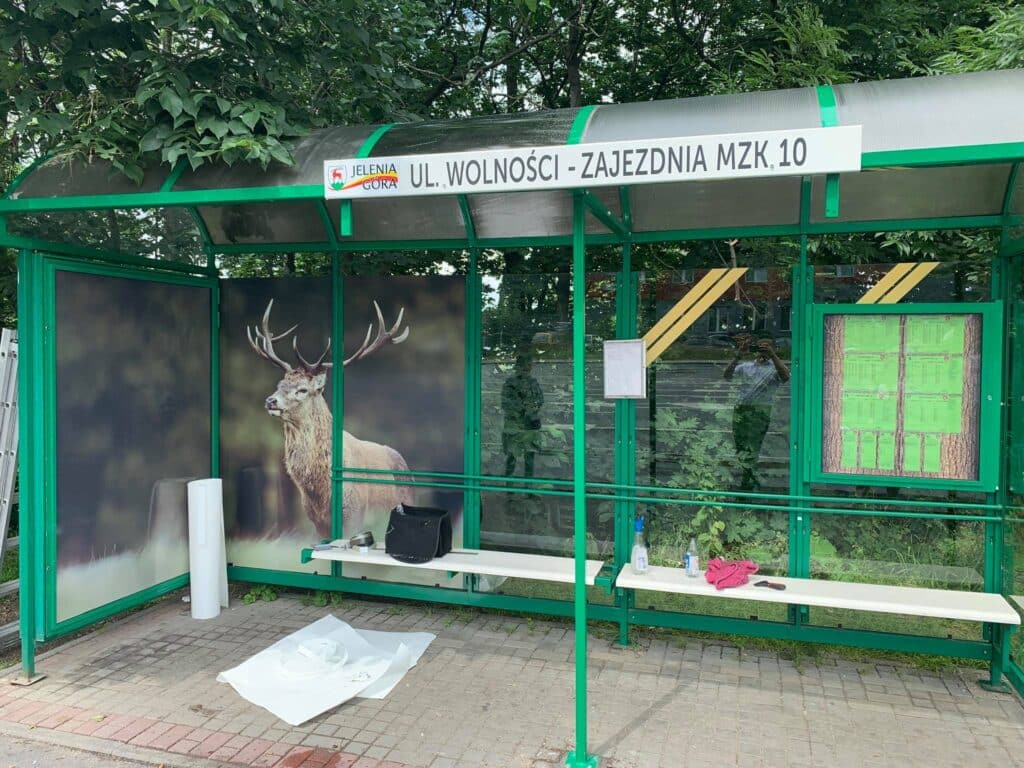 Jelenia Góra stawia na zieleń – nowe przystanki w ekologicznym wydaniu