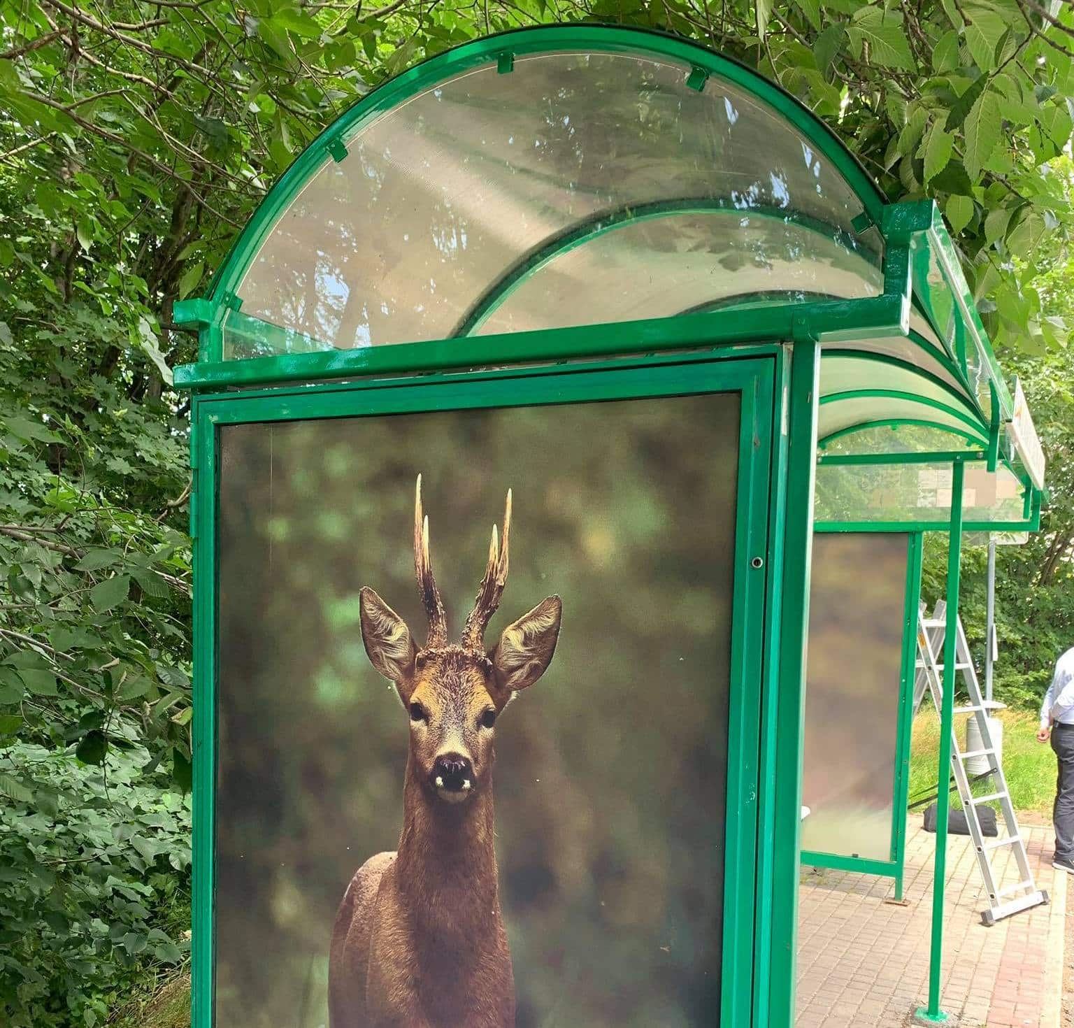 Infotrans - Zielone dachy na autobusowych przystankach – Jelenia Góra z przetargiem na eko wiaty