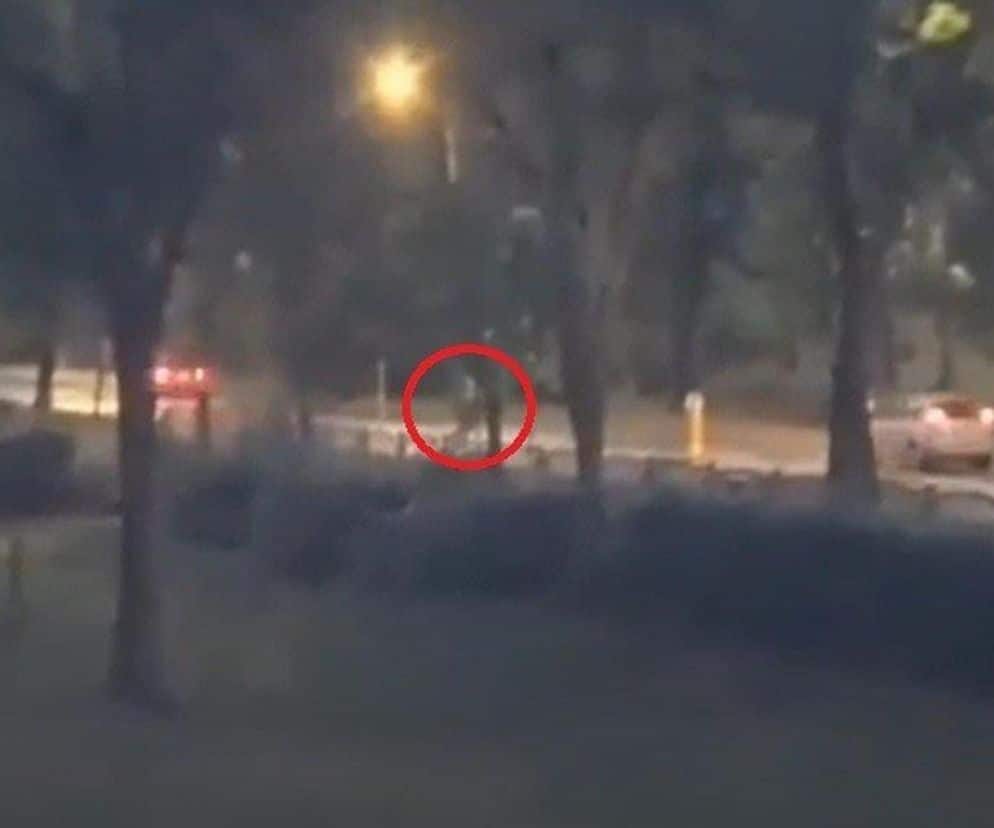 Tragiczne zdarzenie w Sosnowcu: Mężczyzna zdemolował autobus i zaatakował policjantów maczetą