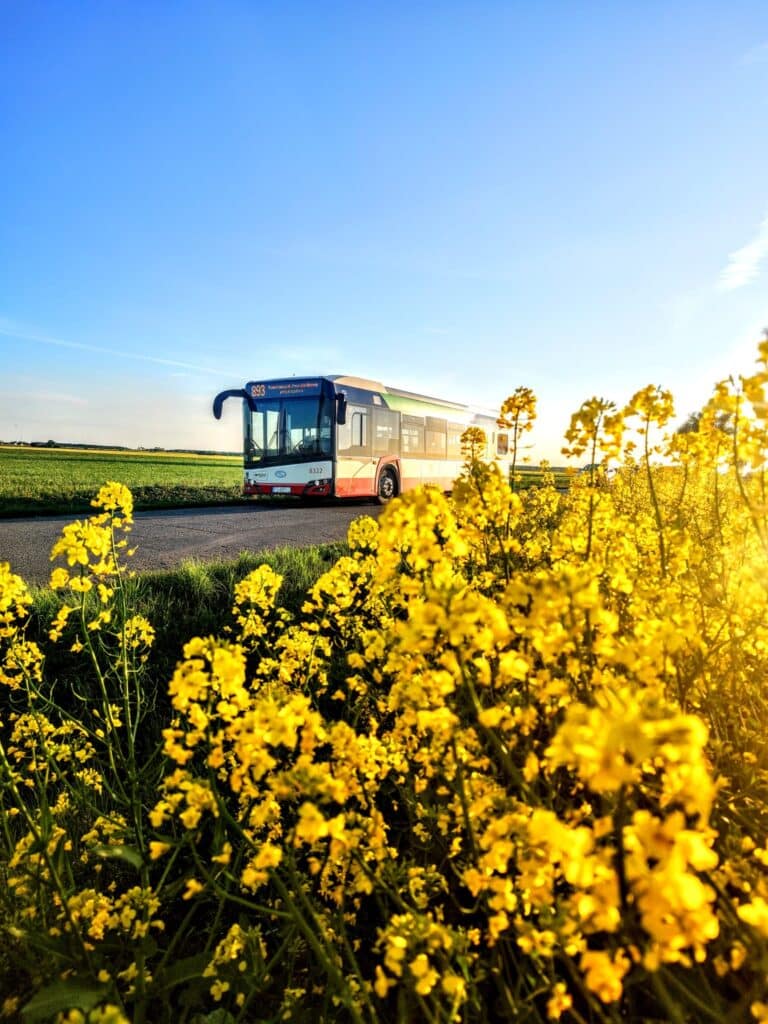 Nowe stacje ładowania elektrobusów w Rokietnicy. Przetarg już ogłoszony / fot. Rokbus