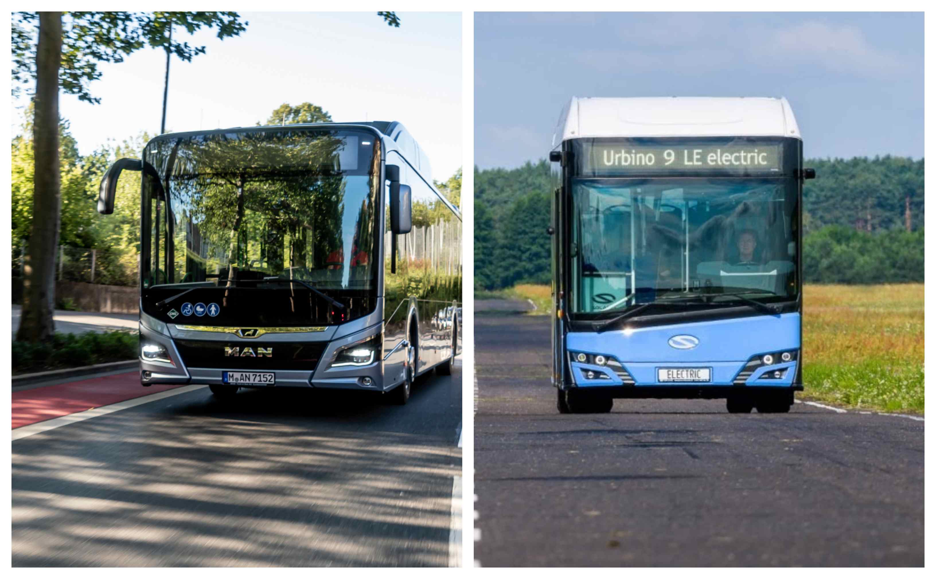 Infobus - Koleje Małopolskie unieważniają część przetargu na elektrobusy. Błąd formalny