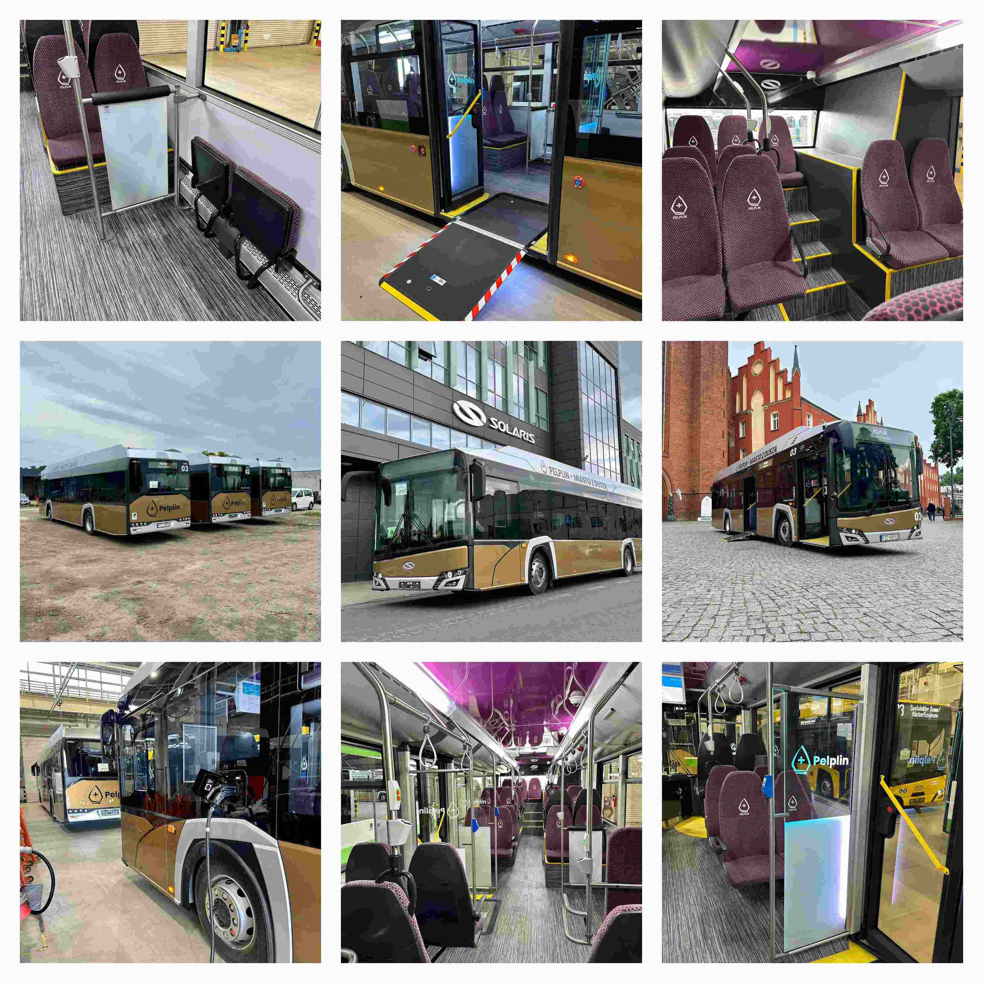 Infobus - Czy Pelpin ma najładniejszy autobusy elektryczne w Polsce? Pierwsze złoto-srebrne Solarisy