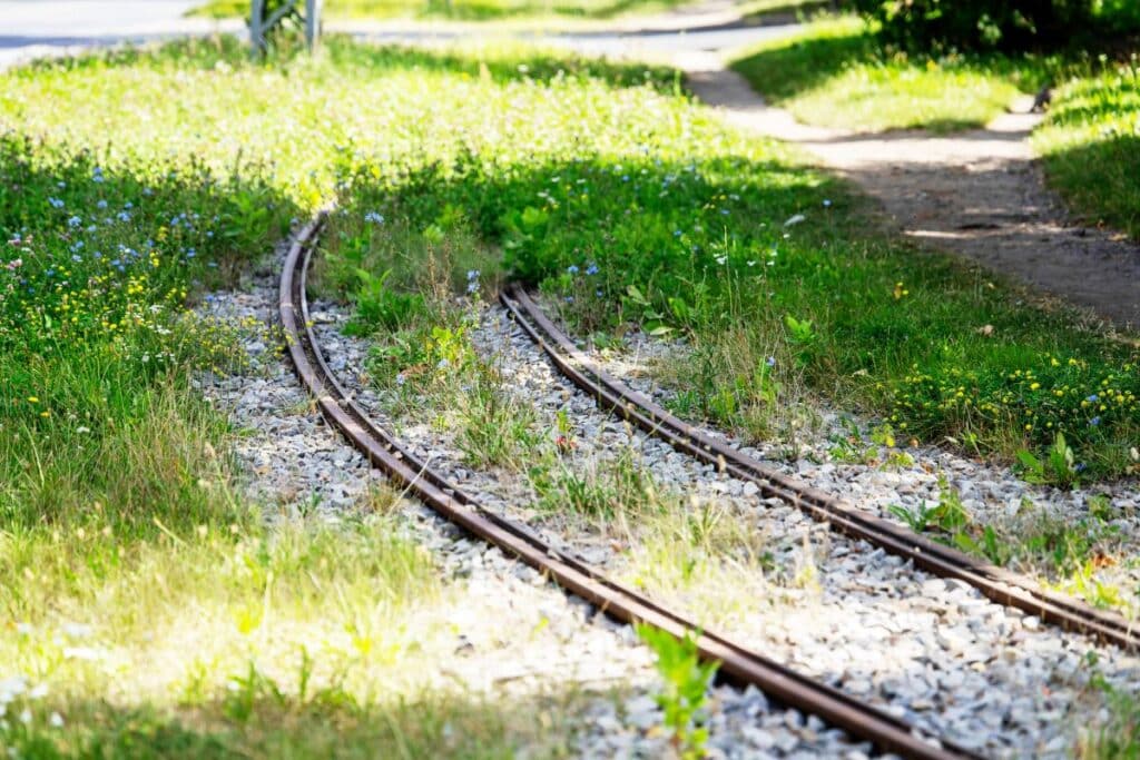 Tramwaje pojadą po nowych torach na Warszawskiej i Srebrzyńskiej. Gigantyczne inwestycje w Łodzi foto: UMWŁ
