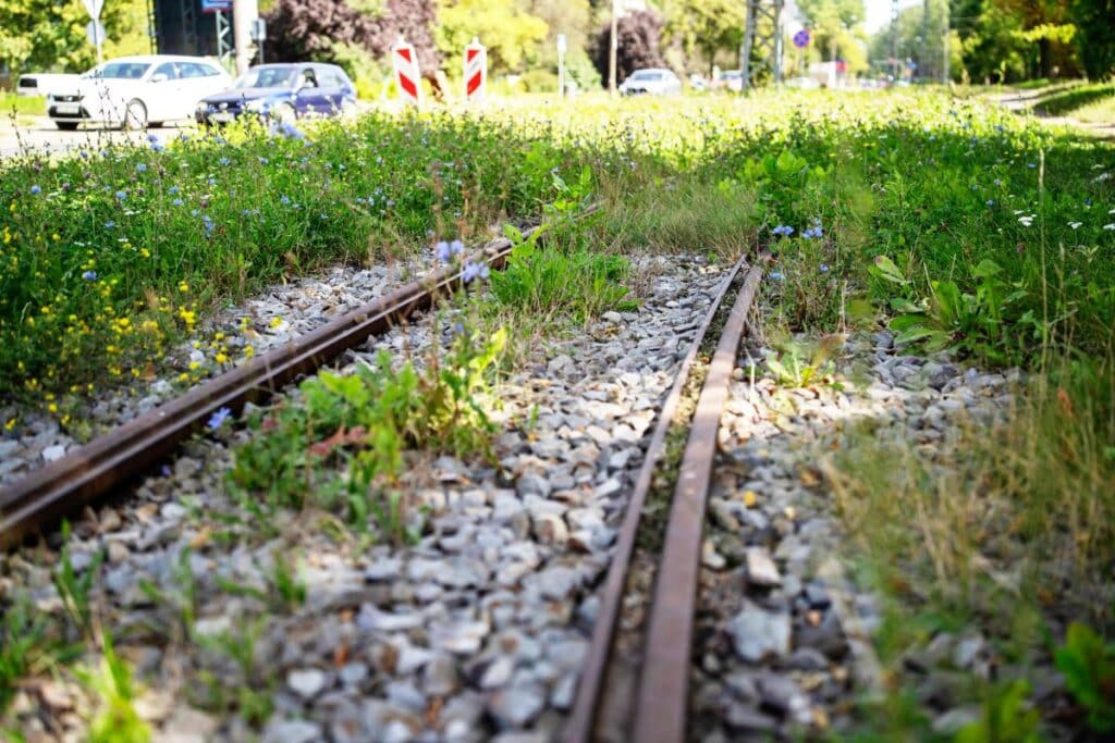 Tramwaje pojadą po nowych torach na Warszawskiej i Srebrzyńskiej. Gigantyczne inwestycje w Łodzi foto: UMWŁ