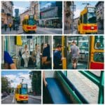 Debiut tramwaju we Lwowie