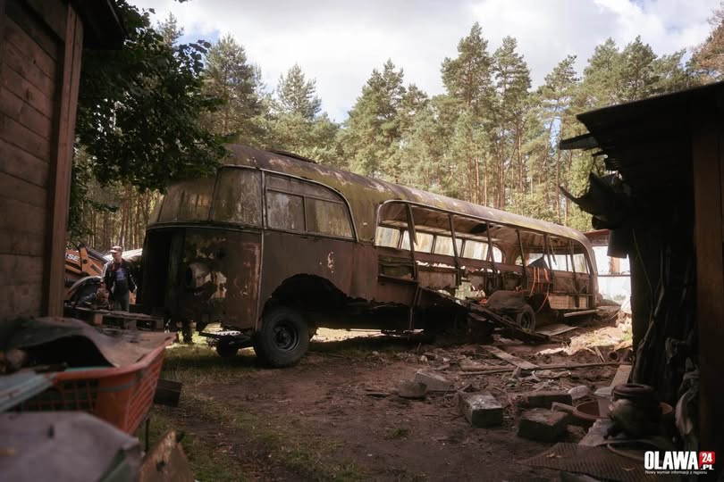 „Bałtyk” odnaleziony po 60 latach trafił do Oławy. Unikatowy polski autobus zyska drugie życie