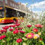120 nowych autobusów dla Warszawy