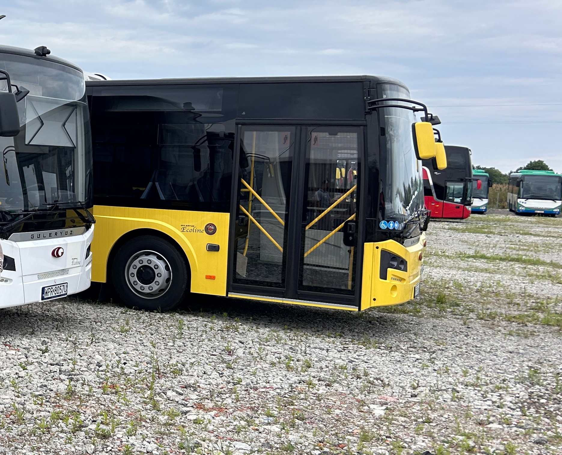 Infobus - Mercus rozwija sprzedaż autobusów Güleryüz w Polsce. Cztery Ecoline 12 do Trako