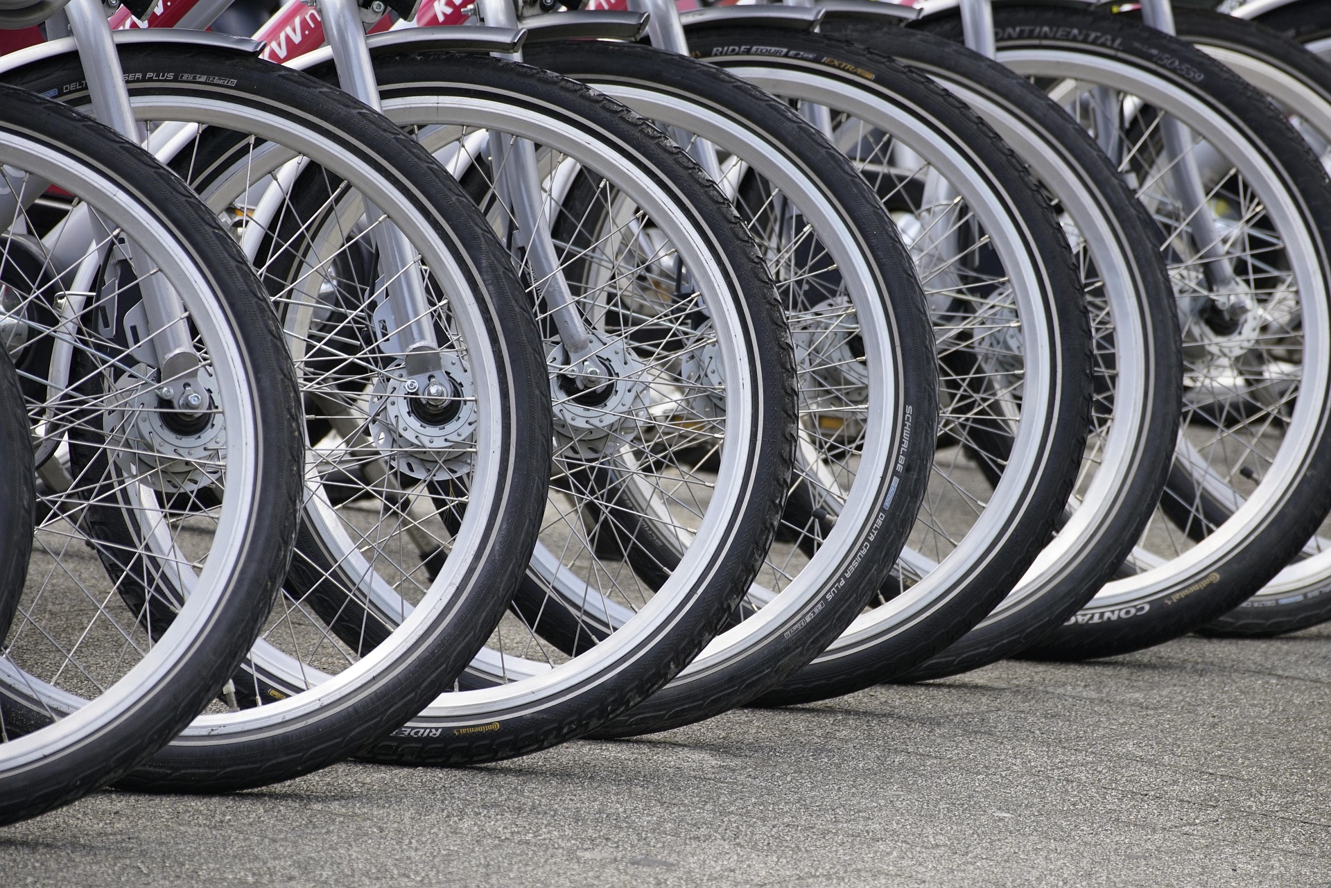 Infobike - Rybnik stawia na bezpieczeństwo rowerzystów — rekordowe znakowanie jednośladów