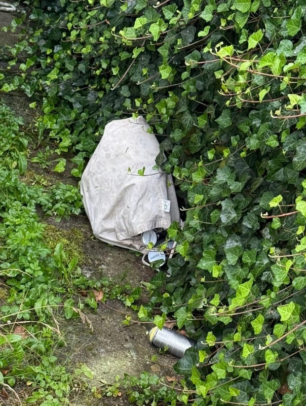Nielegalne graffiti na pociągach SKM w Lęborku. Jeden ze sprawców zatrzymany foto: Policja
