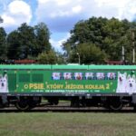 Lokomotywa PKP Intercity